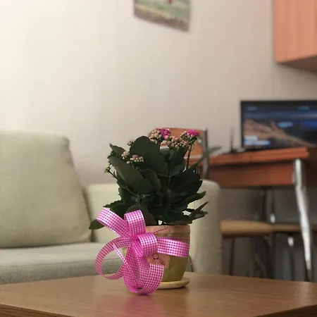 Lovely Home, Very Good Located! صوفيا